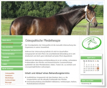 Osteopathische Pferdetherapie