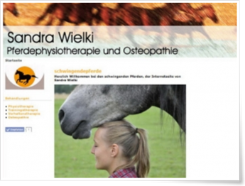 Pferdephysiotherapie